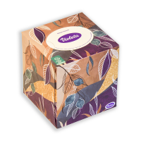 Double Care papírzsebkendő mintás dobozban - 60 db 